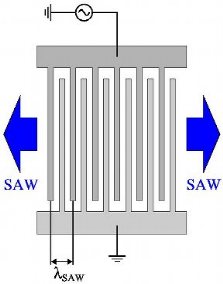 Schematic diagram of a SAW transducer consisting of crossed electrodes Schematic diagram of a SAW transducer consisting of crossed electrodes